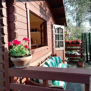 https://appia-antica-cottage.it-romehotels.com